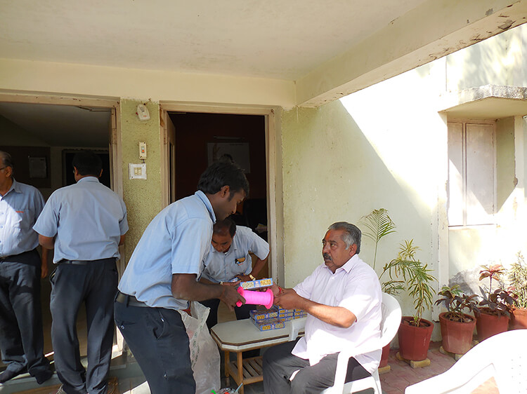 FESTIVAL CELEBRATION