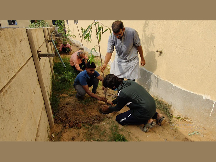 TREE PLANTATION MAHIJ